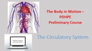 PDHPE preliminary - The Body In Motion - The Circulatory System