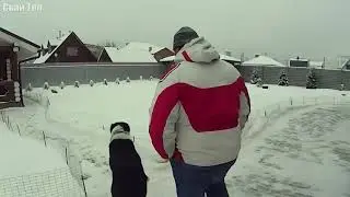 АЛАБАЙ В ДЕЛЕ! Алабай - огромный защитник и лучший друг.....