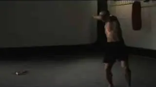 Shaolin warrior Punches and kicks.flv
