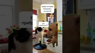 я и уборка:💥 