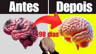 Este Alimento COMUM Pode Melhorar Sua MEMÓRIA em Menos de 90 Dias – Veja Como! (EVITA ALZHEIMER)!