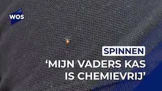 Duurzaam telen met spinnetje: minder chemische bestrijdingsmiddelen