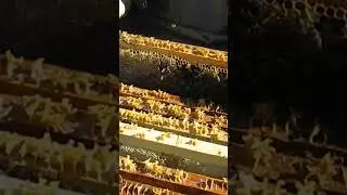 При сборке гнезд как правильно стряхивать пчел с рамок #анатолийстрелец