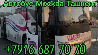 Автобус Москва Ташкент Санкт-Петербург Ташкент