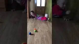 Жизнь двойни на даче