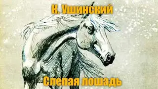 К. Ушинский 