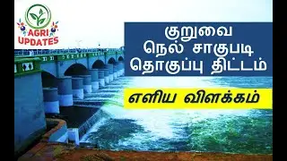 Agriupdates | குறுவை நெல் சாகுபடி தொகுப்பு திட்டம் 2021-2022 |எளிய விளக்கம்