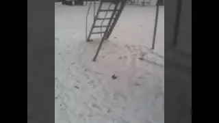 Катание на санках с горки