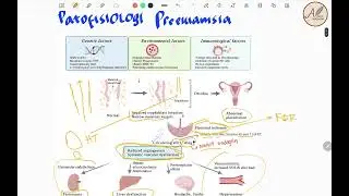 Preeklamsia Hipertensi Dalam Kehamilan - Patofisiologi, Diagnosis, Manajemen Persalinan dan Obat