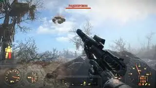 noobscorpion