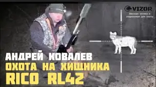 Searching for wolves and hunting jackals