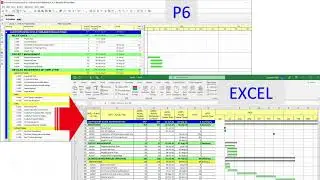 Primavera P6 Schedule in Excel using Plan Excel