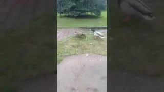 Частный пансионат для пожилых людей