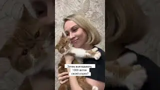 🐈🥰