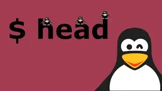 All you need to know about HEAD command in Lunix