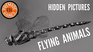 Learn Flying Animals | Hidden Pictures English Game | Primary Level