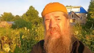 Время дня когда собирать лечебные травы ?