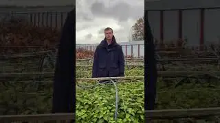 Приглашение на Конгресс от Сергея Бартасинского
