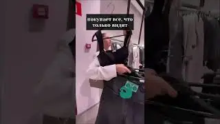 А к какому типу относишься ты? 