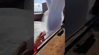 Loading 33,000 tons of saltpeter New Orleans 