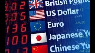 Forex for Beginners: The Importance of Live Forex Rates