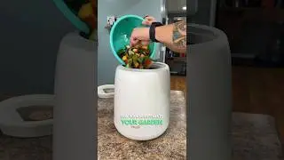 Vego Kitchen Composter GIVEAWAY!
