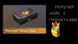 получил кейс с перчатками