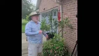 241002 Fall Hummingbird Migration