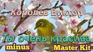 Ты очень красива/Королёв Виктор (мастер минус Master kit)