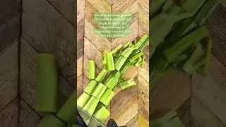 Fight Belly Bloat with this Green Juice