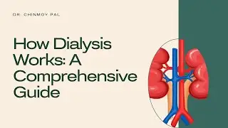 How Dialysis Works A Comprehensive Guide