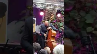 Double bass solo at Jazz Festival