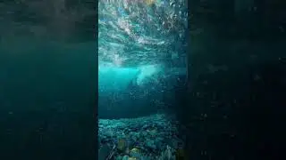 Breathtaking Underwater Scenery