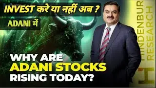 Adani Stocks Rally Reason | Invest In Adani Stocks Now | Adani Hindenburg News | Adani Latest News
