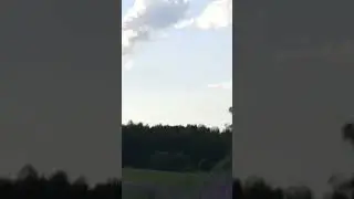 А у нас по полю заяц бегает ....