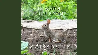 Peter Rabbit - An Introduction