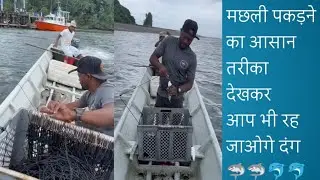 मछली पकड़ने का सबसे आसान तरीका #forest #animal #fishing 🐬🐬🐬🦈🦈🐠🐠