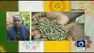 SEATINI Shares Insights on the Ban of Export of Raw Materials