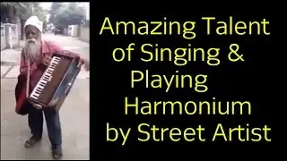 Super talented street artist playing harmonium