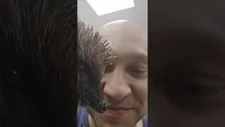 В мире животных и людей 🥰Мир глазами ветеринара ❤️#Zoovetdoctor #ушаковдмитрий #ветеринародесса
