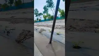 Village darshan #trending  #ytshorts #trends