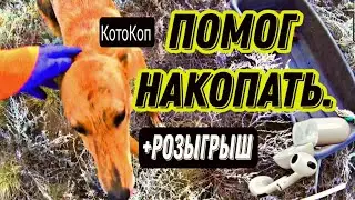 ПОЛНАЯ нива! РОЗЫГРЫШ! Коп. 