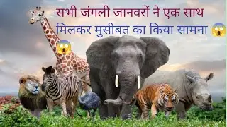 animals video | animals mating naturally |