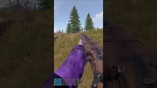 new DB skin rust 