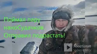 И снова Бердь, и снова глухо!