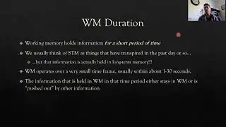 16 Working Memory Pt1