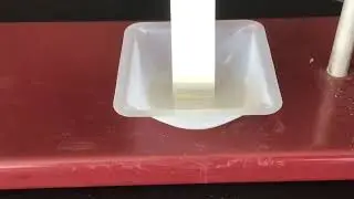 Water Lab, Biology