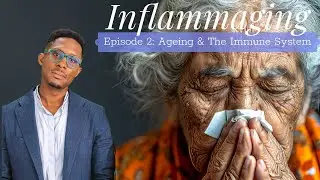 Inflammaging - Episode 2: Ageing & The Immune System