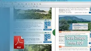 How to Save Image from PDF Document by using adobe acrobat pro
