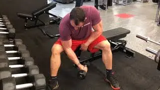 Biceps haltères concentré